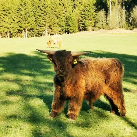 Mit Grosser Terrasse Und Stadtview * バート・ベルレブルク