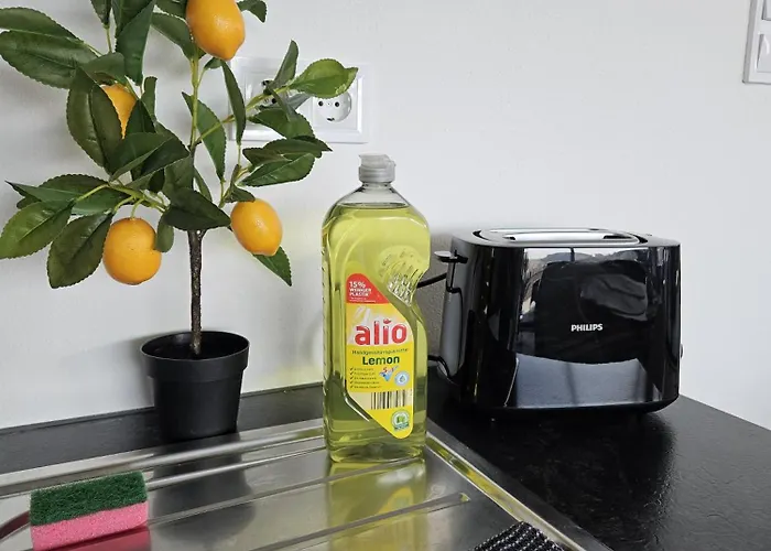 Lägenhet Mit Grosser Terrasse Und Stadtview