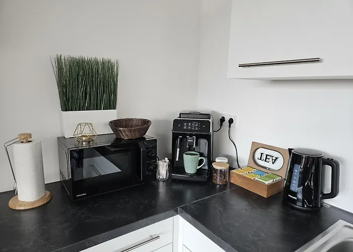 Mit Grosser Terrasse Und Stadtview باد برلبورغ